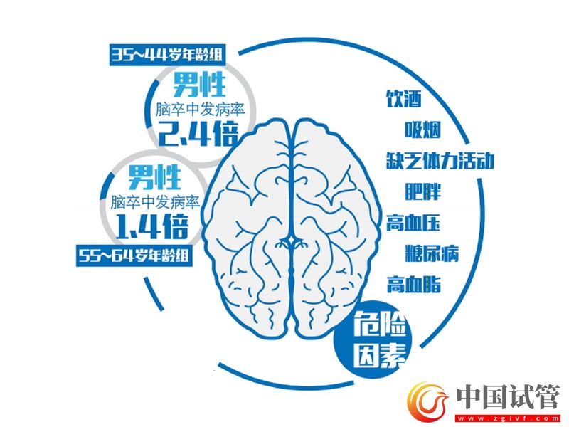 我國學者為腦卒中治療提供最高級別的循證醫(yī)學證據(jù)(圖1)