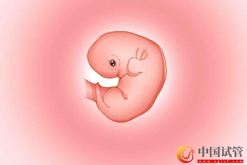 做試管嬰兒發(fā)展歷史及優(yōu)缺點(diǎn)(圖2)