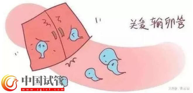 卵巢早衰卵泡不發(fā)育怎么辦？卵巢早衰可以借卵試管生孩子嗎？(圖5)