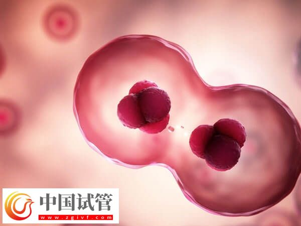 促排期間腹部不舒服、體溫升高要小心，可能是卵泡早排！(圖1)