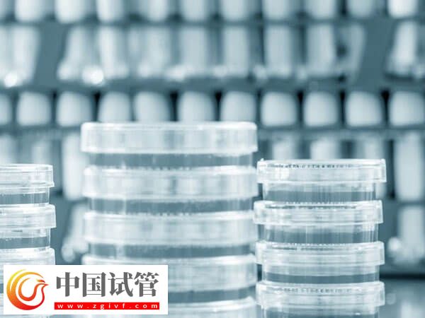 長沙熱門人工受孕醫院匯總，前三家成功率均在50%以上(圖3)