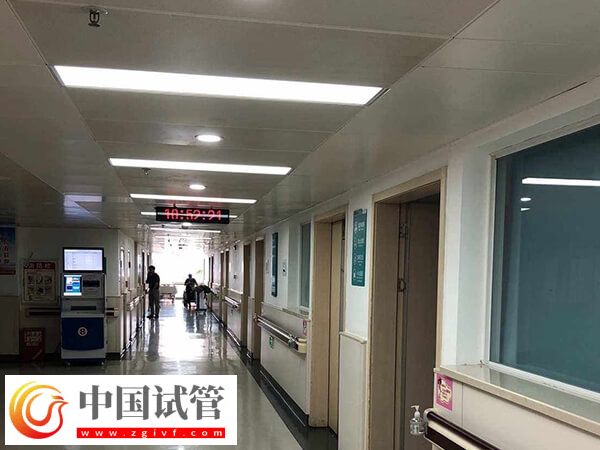 秦皇島做供卵試管嬰兒選哪家合適？這兩家機構(gòu)隨你挑(圖1)