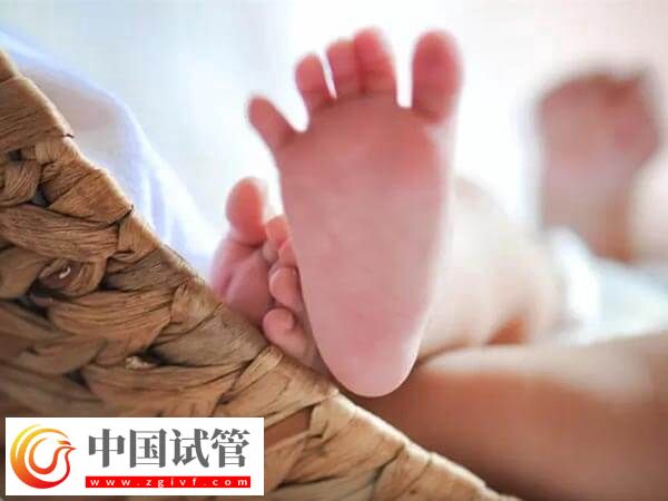早產(chǎn)兒智力測試的方法有哪些(圖1)