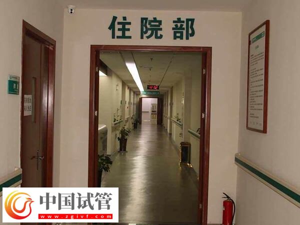 周口供卵試管嬰兒費用解析，至少5萬起步(圖1)