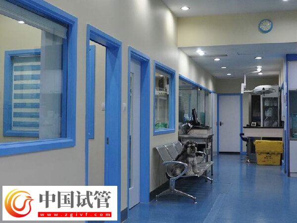 蘇北人民醫(yī)院試管嬰兒生雙胎價格并不高，單周期3萬搞定(圖2)