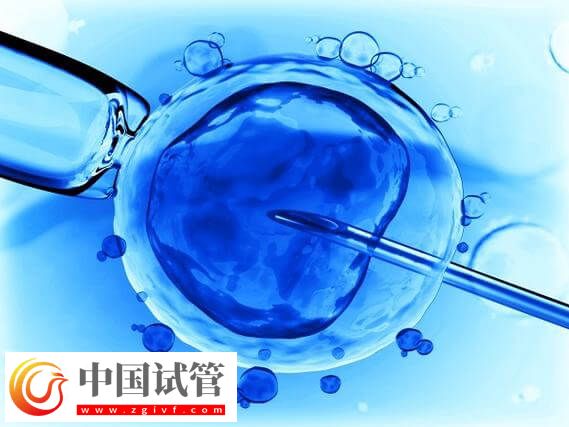 常德婦幼試管嬰兒成功率：低于35歲移植一個也有65%(圖1)