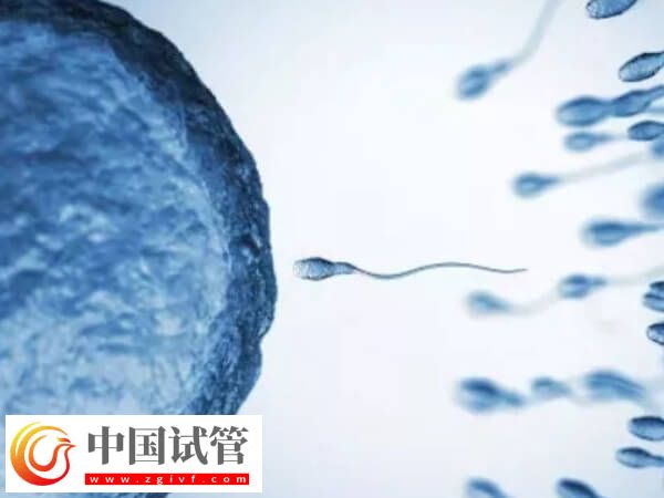 常德第一人民醫院供卵申請真的難，等待3-5年已是常態(圖1)