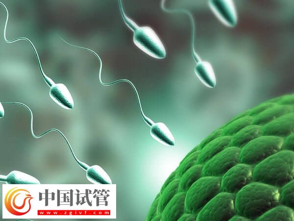 常德市婦幼保健院助孕攻略手冊，附一、二、三代成功率參考(圖2)