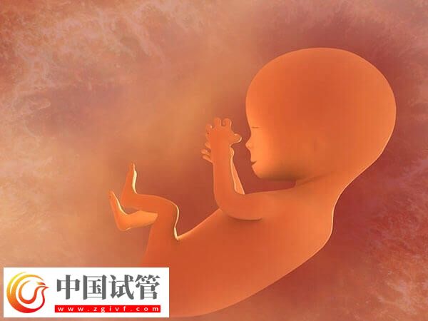 烏海婦幼保健院做試管嬰兒哪個醫(yī)生好？附三大專家簡介(圖1)