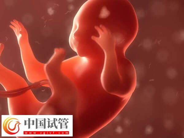 囊胚著床失敗or生化判斷方法匯總，看時(shí)間是技巧之一(圖1)