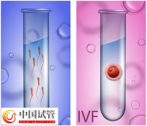 天津試管嬰兒費(fèi)用詳解：全面了解價(jià)格及影響因素(圖1)