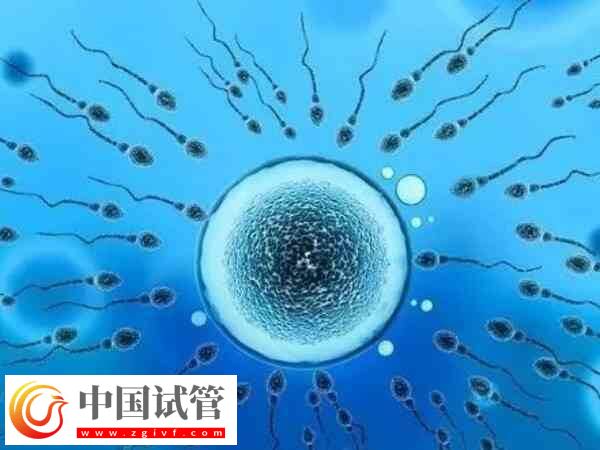 山西煤炭醫(yī)院夫精人工授精收費(fèi)標(biāo)準(zhǔn)：?jiǎn)沃芷陬A(yù)算6K起(圖1)