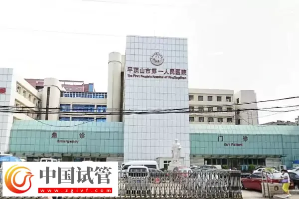 平頂山試管嬰兒醫(yī)院排名，2024造娃價(jià)目表、成功率參考(圖3)