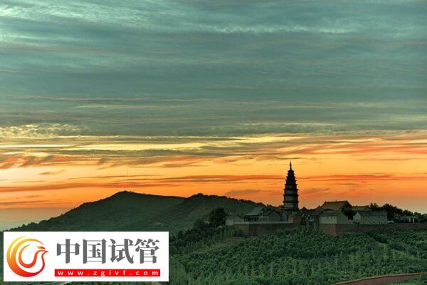 平頂山試管嬰兒醫(yī)院排名，2024造娃價(jià)目表、成功率參考(圖1)