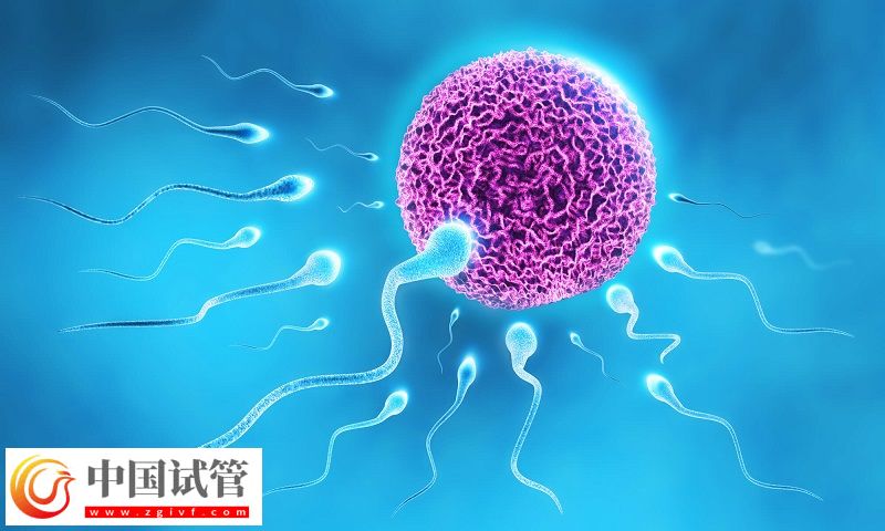 上海試管嬰兒醫院排名，哪家醫院口碑好?(圖1)