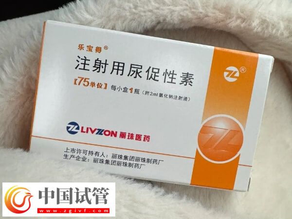 促排卵期間尿促性素針75單位打多久卵泡成熟？(圖1)