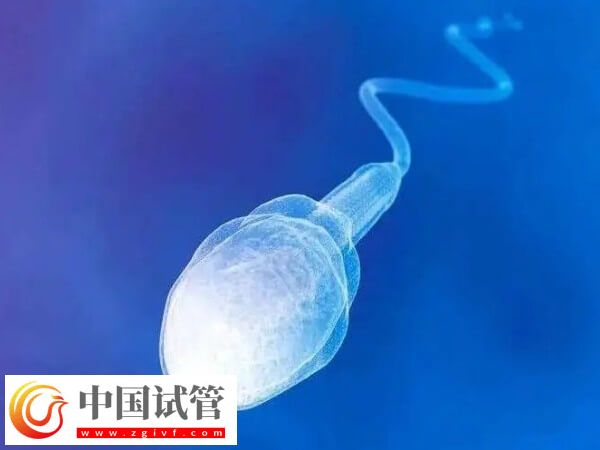 做試管嬰兒什么情況需要凍精(圖1)