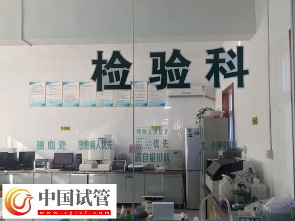 試管嬰兒取卵與精子受精過程分享，達到此數值有機會懷孕(圖2)