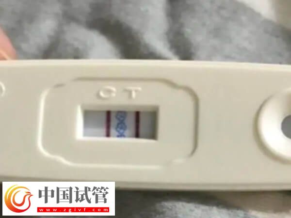 試管嬰兒取卵要適當(dāng)飲用蛋白粉，對(duì)內(nèi)膜恢復(fù)有積極作用！(圖1)