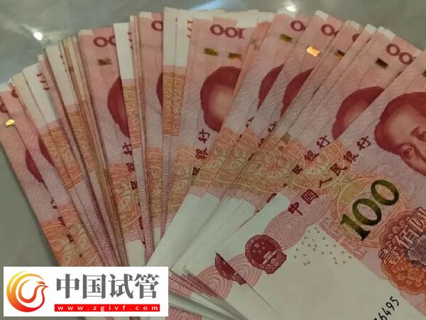 美國試管嬰兒最新花銷速覽，共計(jì)預(yù)算多少一目了然(圖1)