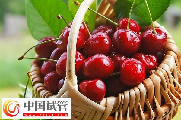 試管嬰兒胚胎移植前4條寶藏建議，這樣做讓胚胎狂長！(圖2)