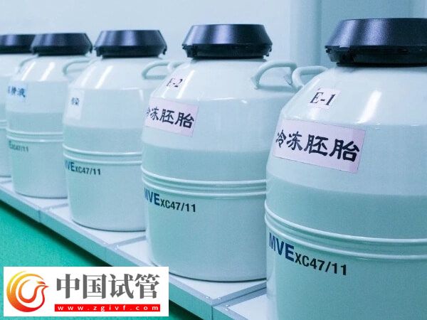 試管嬰兒胚胎移植前4條寶藏建議，這樣做讓胚胎狂長！(圖1)