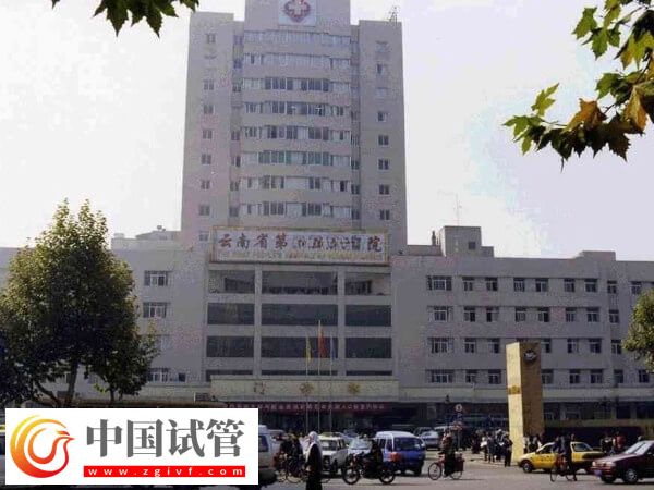 昆明供卵試管嬰兒機構(gòu)有哪些(圖1)