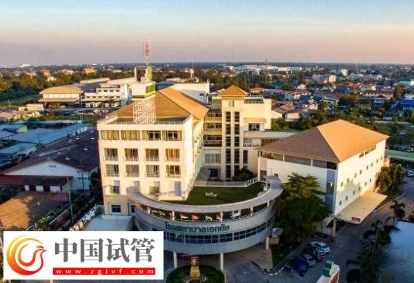 泰國三代試管嬰兒助孕率全解：心態良好或達72%！(圖2)