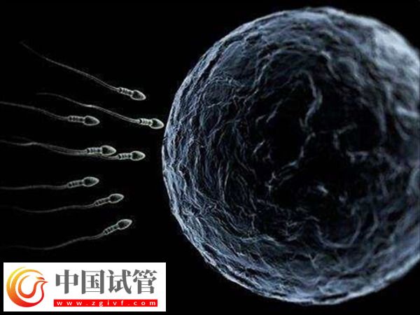 天津開展供精人工授精技術(shù)的醫(yī)院有哪幾家？(圖1)