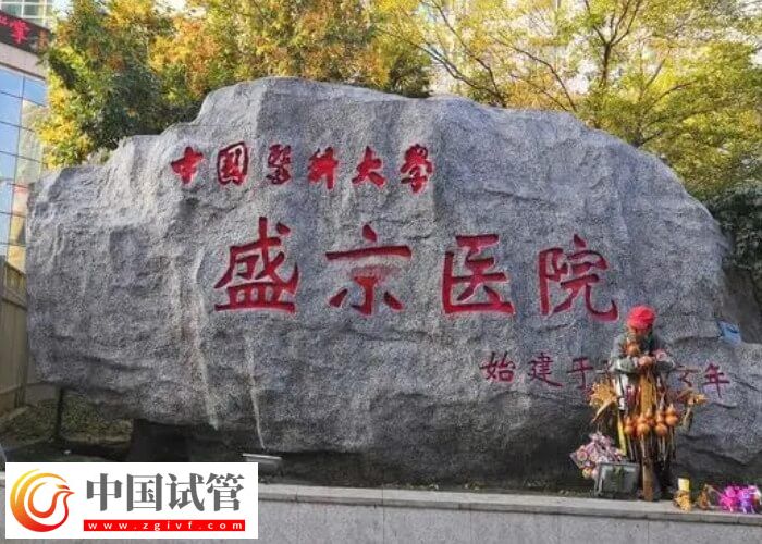 試管嬰兒移植囊胚后不可忽略的6大細節，看完就知該怎么吃！(圖1)