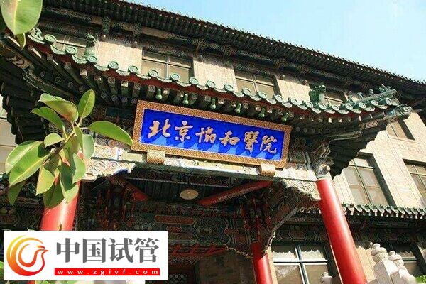 北京哪家試管嬰兒機構可靠？本地人：西城區這5家閉眼選(圖1)