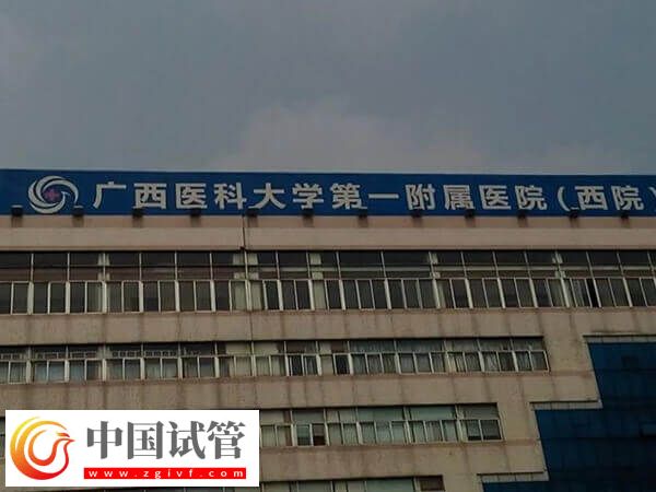 南寧生殖機構(gòu)top5全在這，哪家助孕率高一清二楚！(圖2)