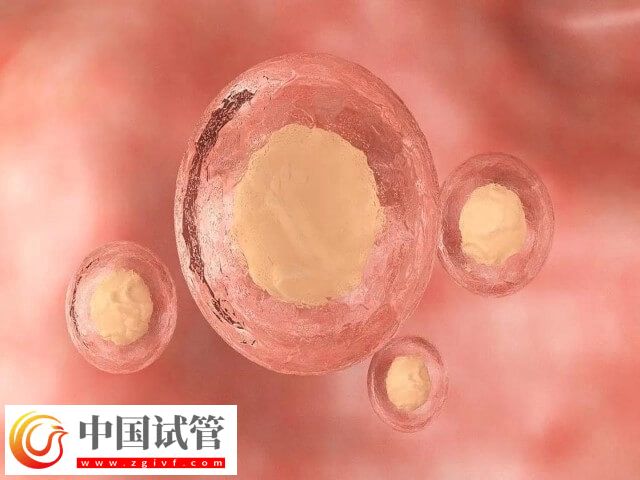 滄州人民醫(yī)院試管二次移植有凍胚費用高不高(圖1)
