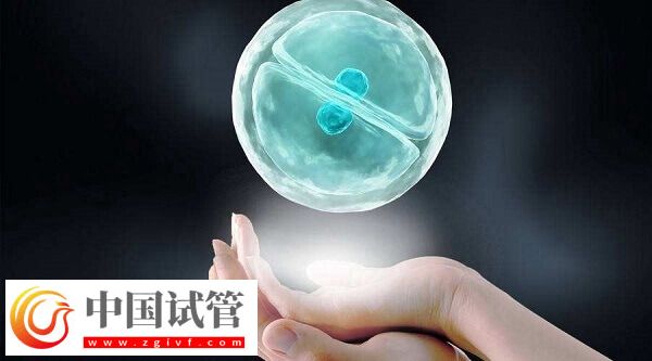 選擇鮮胚還是凍胚移植(圖1)