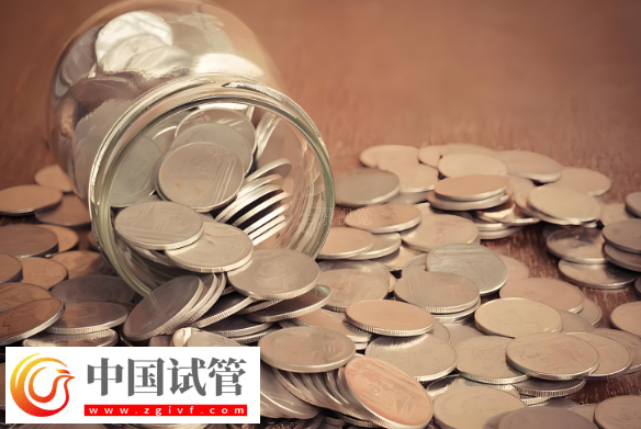 大連試管嬰兒費用解析：雙胞胎與單胞胎的差異！(圖2)