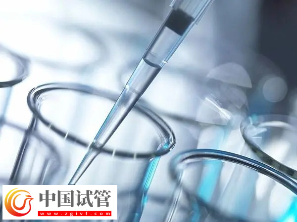 泰國(guó)試管嬰兒能活多久(圖2)