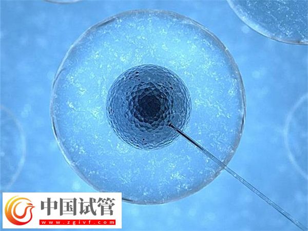 合肥省立醫(yī)院試管成功率怎么樣(圖2)