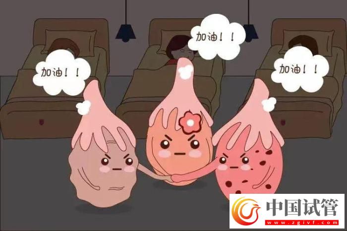 試管嬰兒有哪些出乎意料的概念？(圖3)