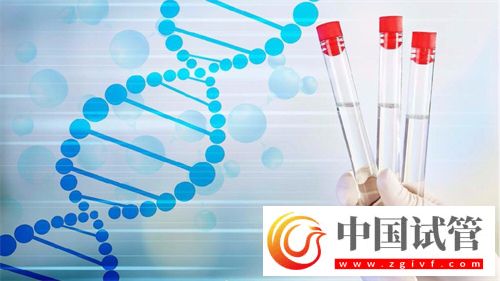 54歲做供卵試管的案例分析！高齡供卵試管如何調理身體(圖1)