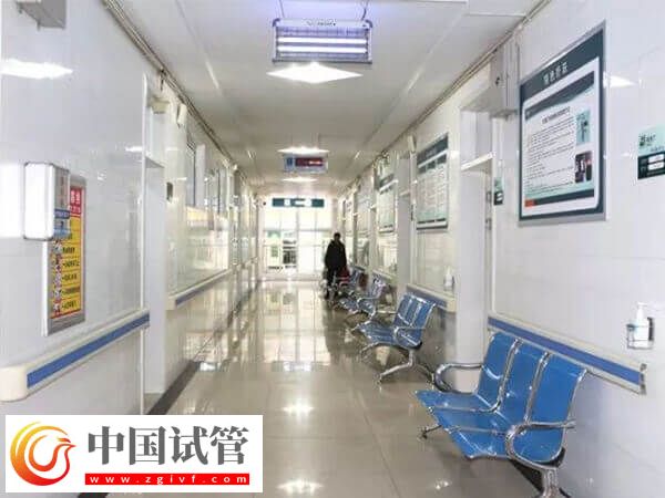 囊胚移植倆為什么成功一個單胎嗎(圖1)