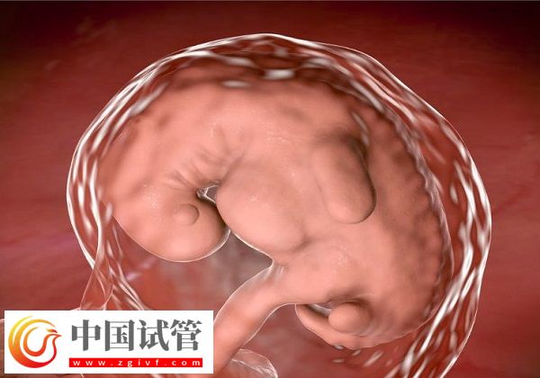 人授兩次沒成功還有無必要做第三次(圖1)