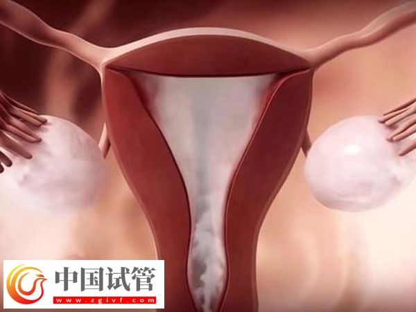 人授兩次沒成功還有無必要做第三次(圖2)