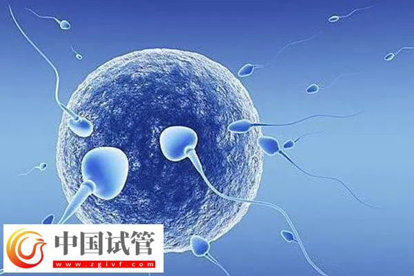 南京做試管醫(yī)保報(bào)銷比例(圖2)