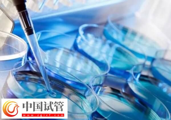 怎樣提高胚胎移植著床率(圖1)