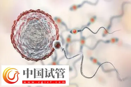 杭州私立醫院做三代試管怎么樣？附包生男孩費用一覽表介紹(圖2)