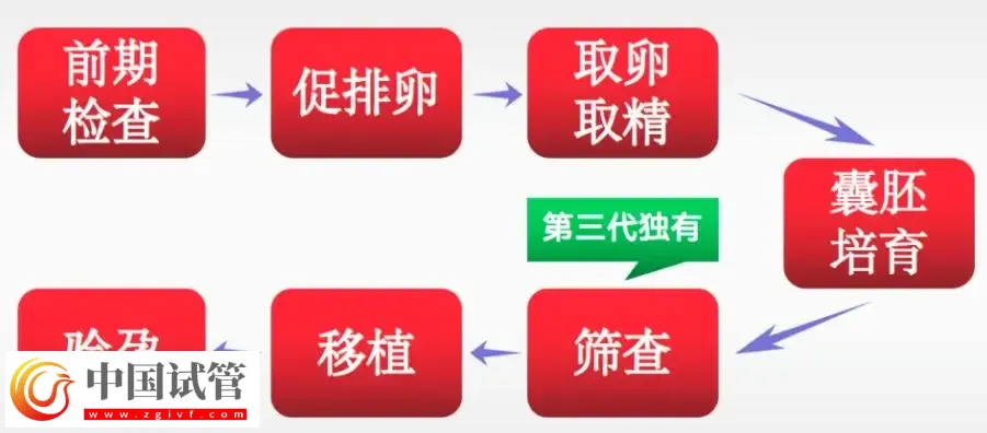 濟南2025試管助孕代/懷產子機構名單，附流程與費用介紹(圖3)