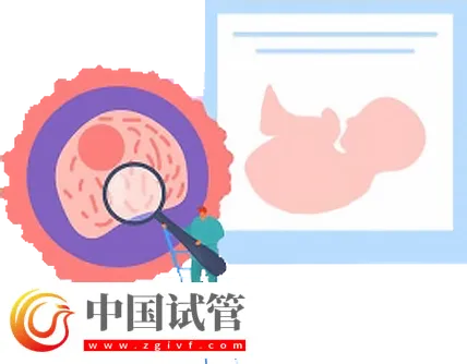 北京試管助孕大概要多少錢？這是2024最新收費標準(圖2)