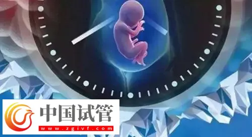 重慶助孕機(jī)構(gòu)名單匯總，附聯(lián)系方式與三代包生男孩費(fèi)用清單(圖1)