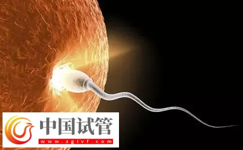 重慶助孕機(jī)構(gòu)名單匯總，附聯(lián)系方式與三代包生男孩費(fèi)用清單(圖3)