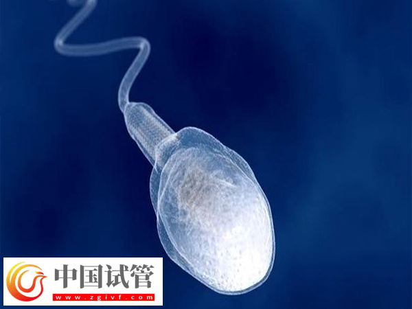 做供精試管可否自行選擇相貌(圖1)